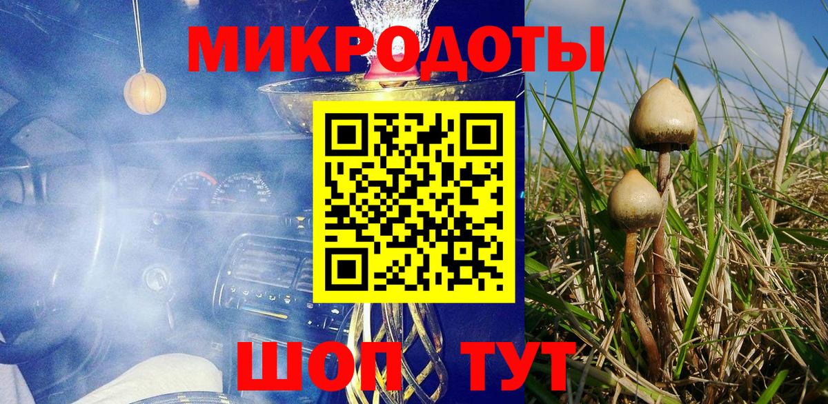 Новосибирск  Псилоцибиновые грибы Cubensis  Вход с VPN 