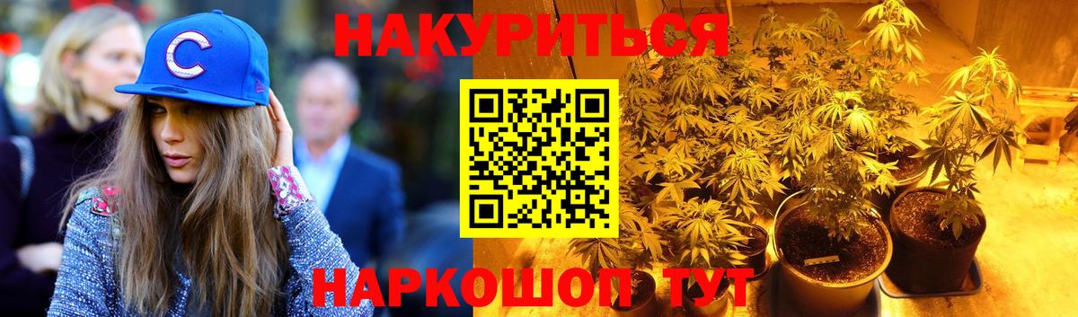 Новосибирск  Канабис сатива  Вход с VPN  Бошки марихуана MAZAR  Бошки марихуана тримм 